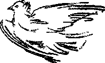 1955-3