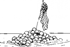 1970-110