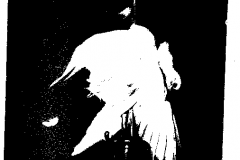 1970-183