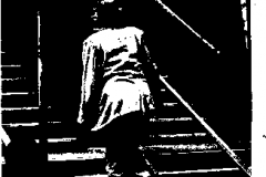 1976-21