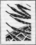 1980-105