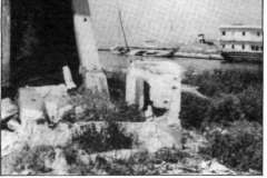 1981-12