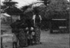 1981-241