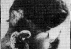 1981-290