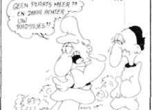 1981-293