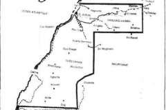 1981-42
