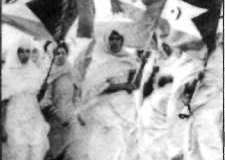 1981-43