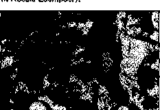 1982-338