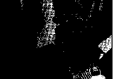 1983-217