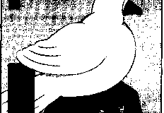 1983-257