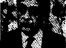 1984-155