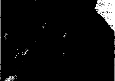 1984-193