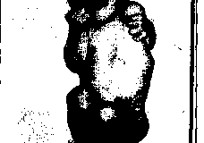 1984-23