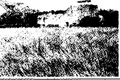 1984-377