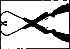 1984-82
