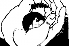 1988-1989-123