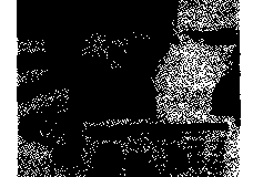 1988-1989-218
