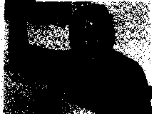1988-1989-219