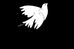 1988-1989-68
