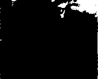 1988-1989-7