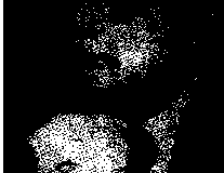 1988-1989-77