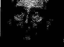 1988-1989-82