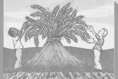 1978-06